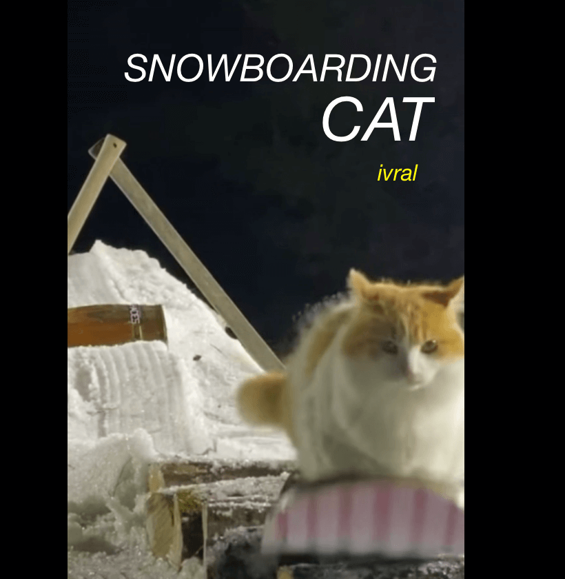 Snowboarding cat viral video